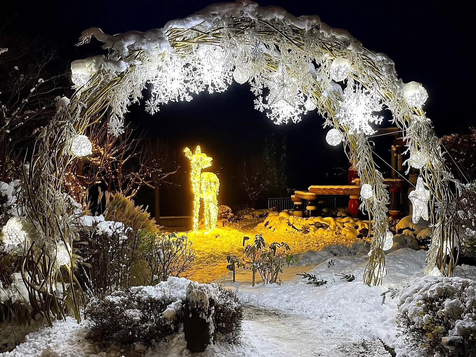 Ein festlich beleuchteter Torbogen aus Zweigen und Lichtern führt zu einer winterlichen Szenerie. Im Hintergrund steht eine leuchtende, dekorative Figur eines Rehs im Schnee.