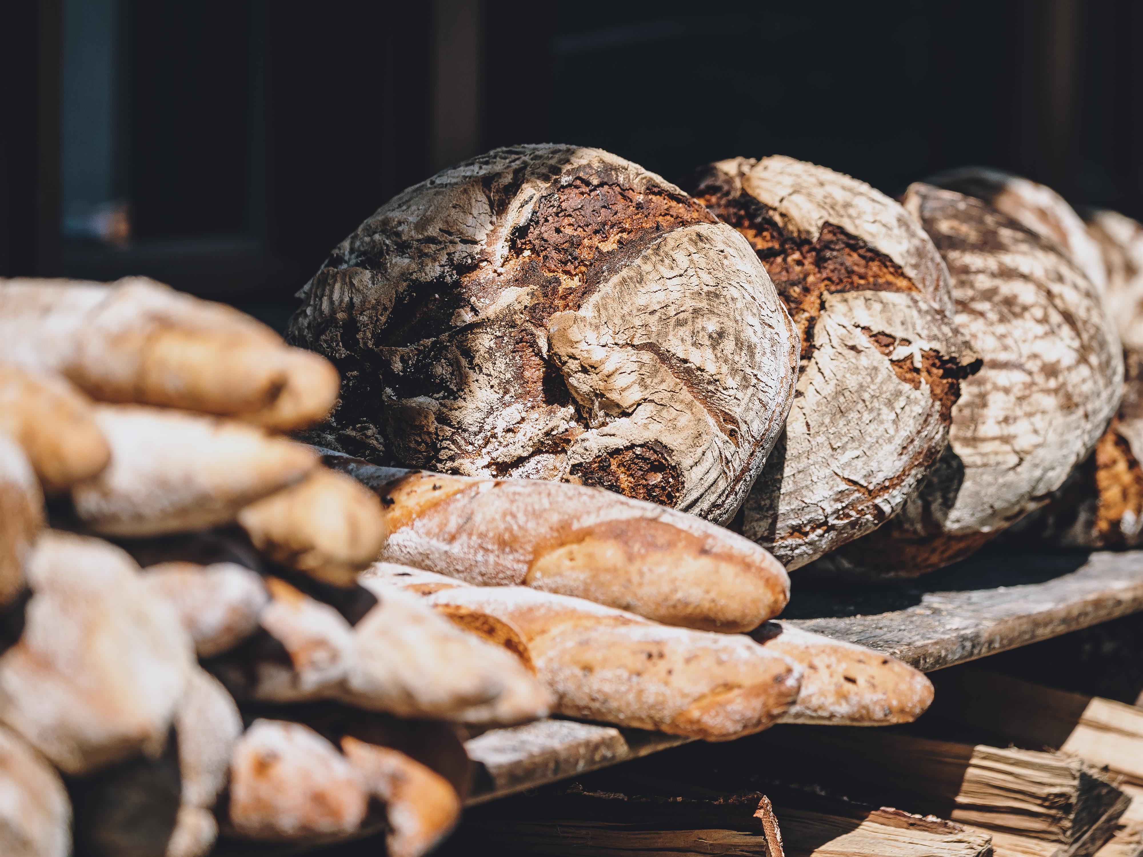 Eine Auswahl an frisch gebackenem Brot, darunter rundes Bauernbrot und Baguettes. Das Brot liegt auf einem rustikalen Holzbrett.