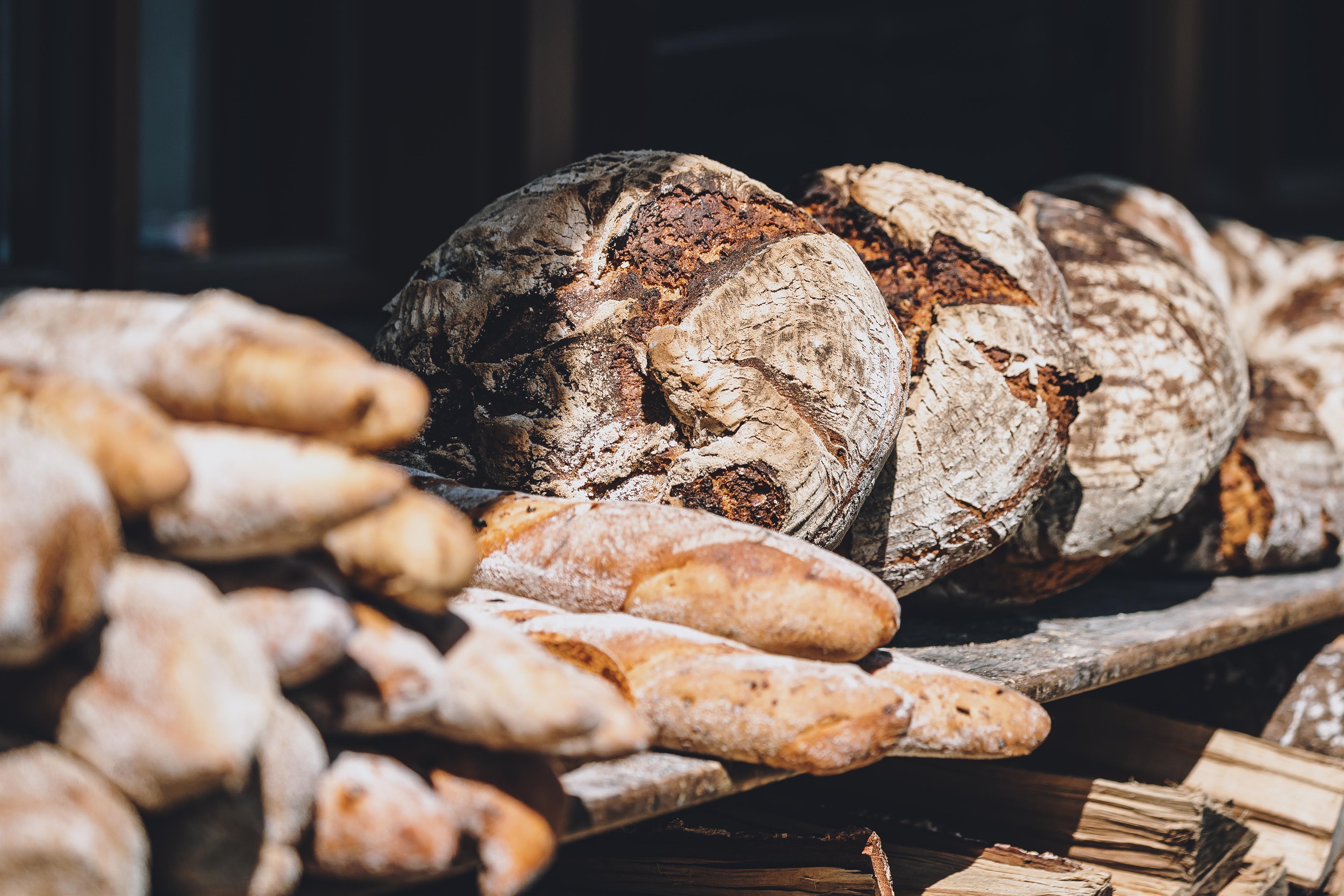 Eine Auswahl an frisch gebackenem Brot, darunter rundes Bauernbrot und Baguettes. Das Brot liegt auf einem rustikalen Holzbrett.