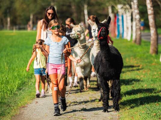 Family Day -  Alpaca Trekking with Gold- &  Gemstone search