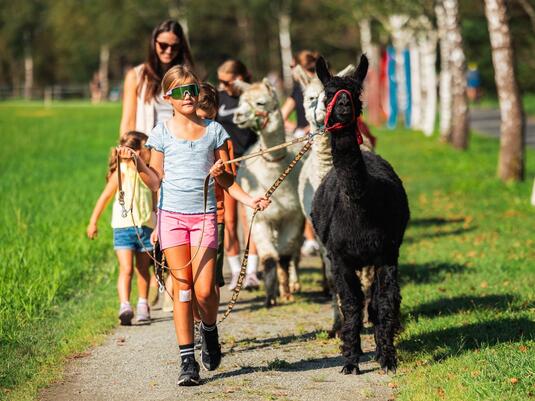 Family Day -  Alpaca Trekking with Gold- &  Gemstone search