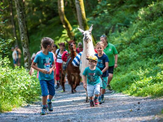 Family Day- Alpaca Trekking with Gold and Gemstone search
