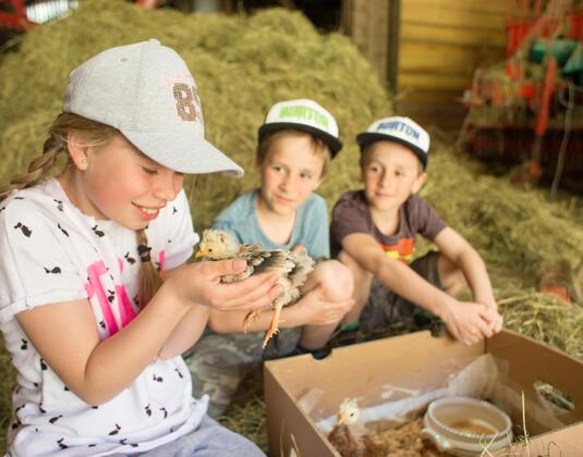 Family Day - Adventure Day on the Farm with bread baking