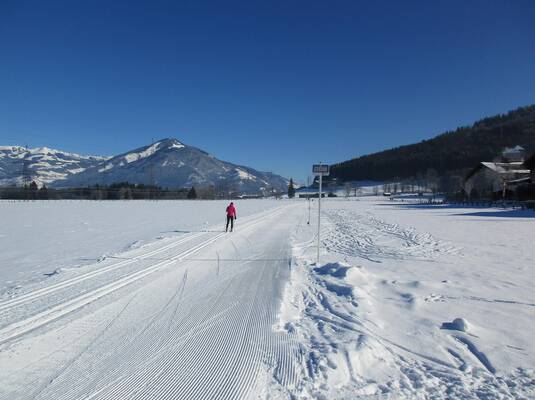 Cross-Country Skiing-Test tour