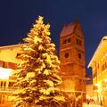 Guided city tour Zell am See