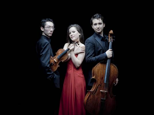 Zeller Sommerkonzerte: "Amatis Trio"