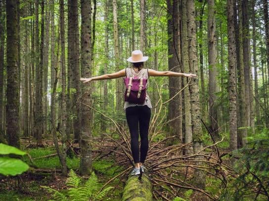 Eine Person steht auf einem Baumstamm im Wald und breitet die Arme aus. Um sie herum sind grüne Bäume und eine üppige Vegetation.