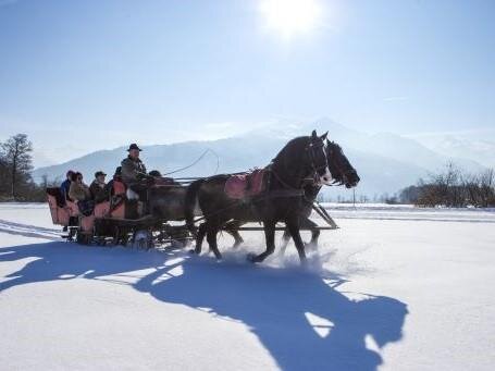 Horse drawn sleigh rides & carriages Höllwerth