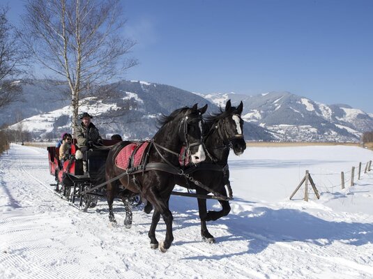Horse drawn sleigh & carriages Ms. Schernthaner