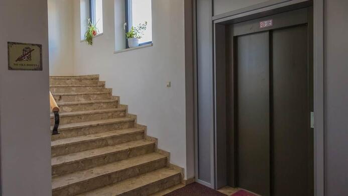 A bright entrance area with a staircase and an elevator. The walls are light, and there are windows with plants.