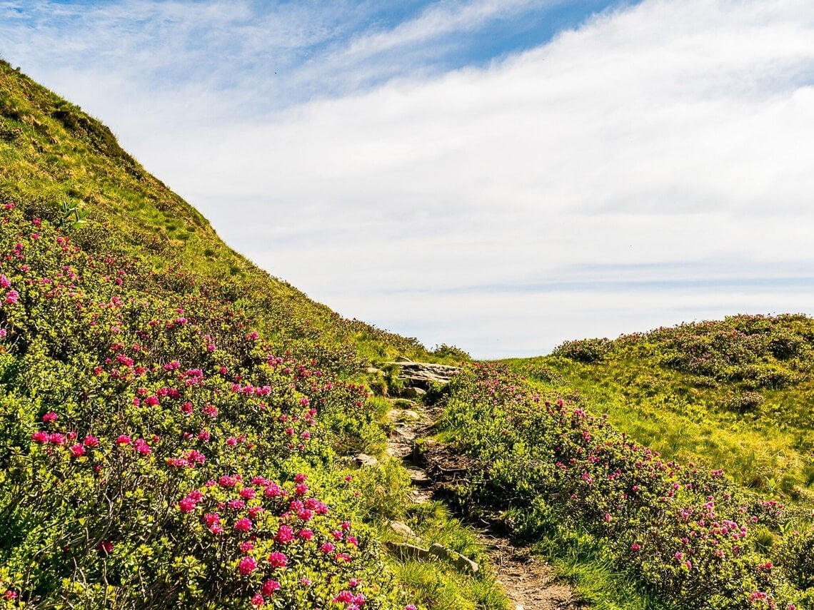 Krefelderhüttenweg / Alexander Enzinger Path - Variant Alpincenter to Kaprun Center