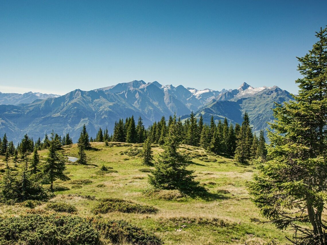 Schmittenhöhe - Hochsonnbergalm - Pinzgauer Hütte